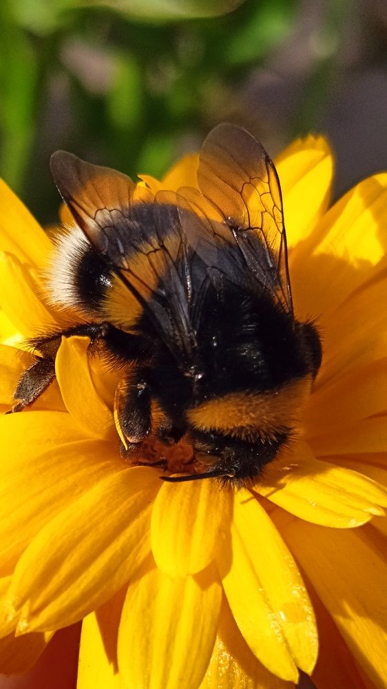 Photograph by Татьяна Пятернёва