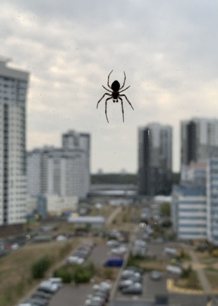 Photograph by Надежда Смирнова