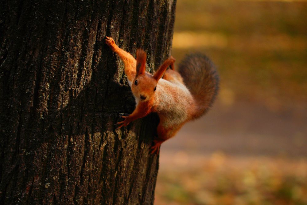 Photograph by Гусева Марина