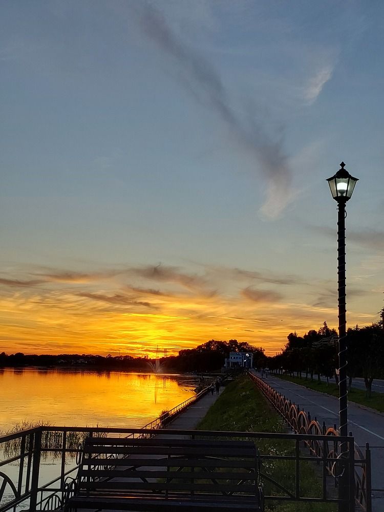 Photo #11096873