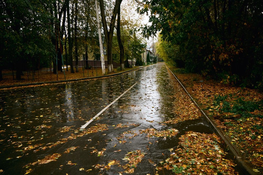 Photograph by Константин Федяев