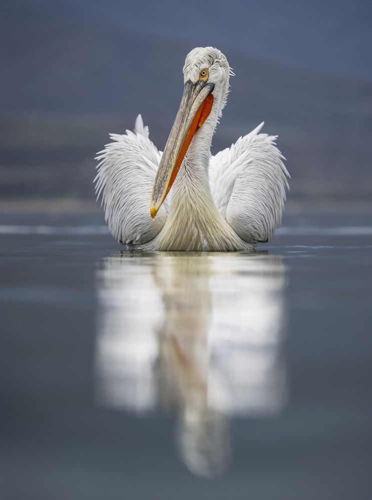 Photograph by Ernestas Balcikonis