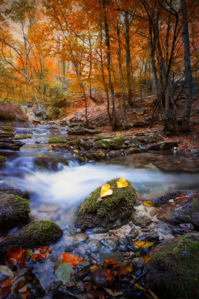 Photograph by Дмитров Андрей