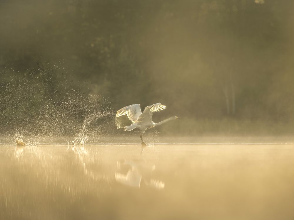 Photograph by Ernestas Balcikonis