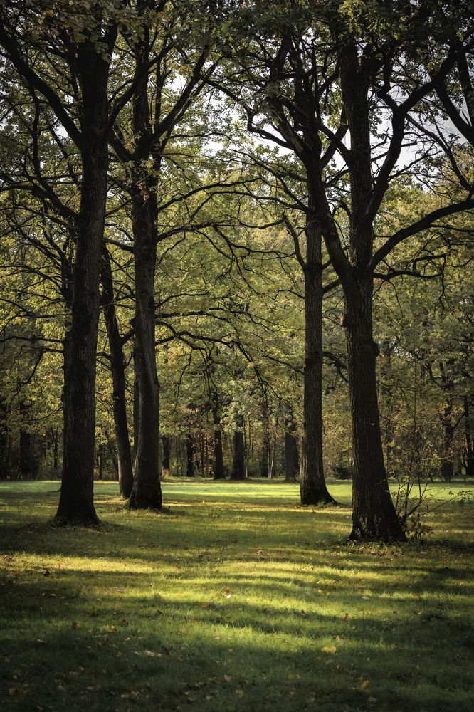 Фотография автора Владимир Барсуков