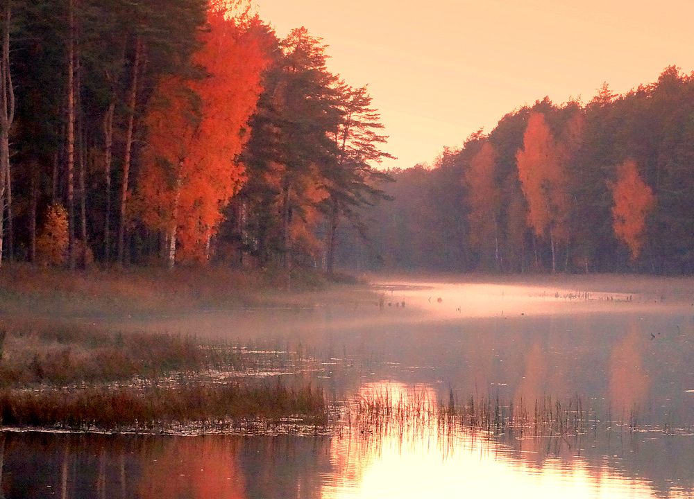 Осень полыхает на берегу озера