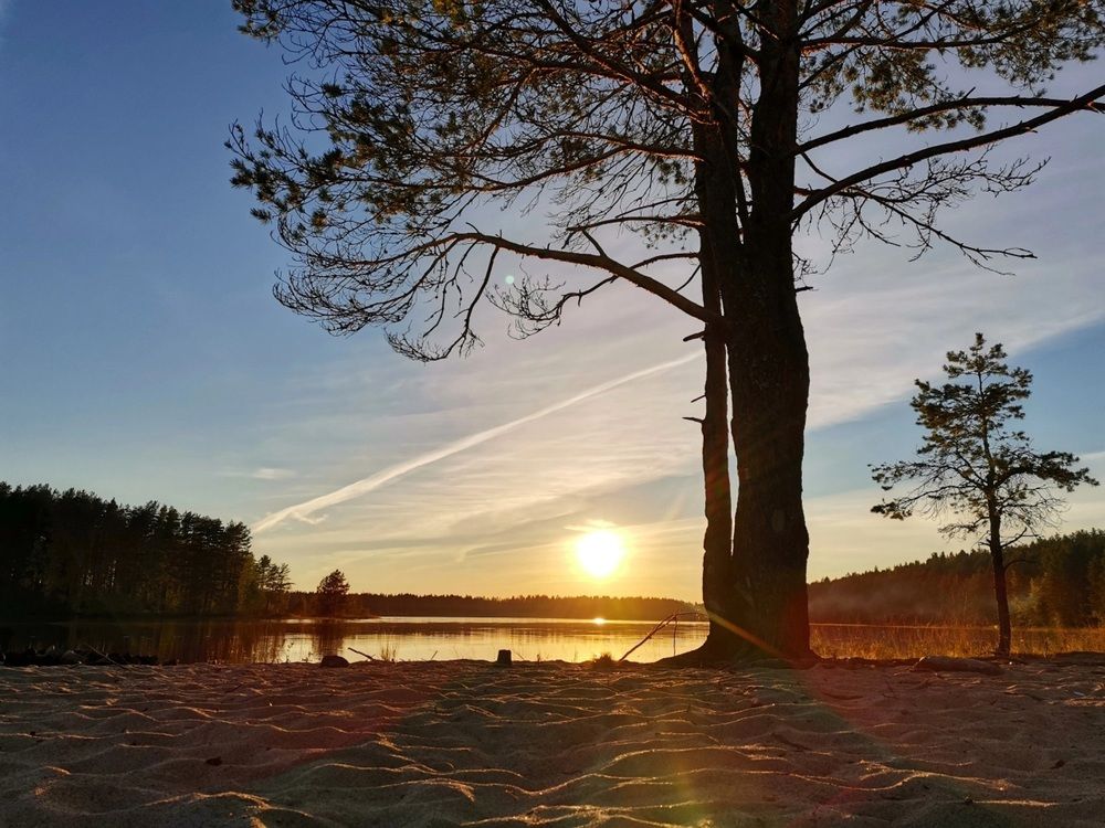 Photograph by Елизавета Мокосина