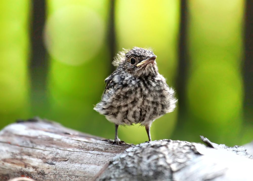 Photograph by Наталья Суслова