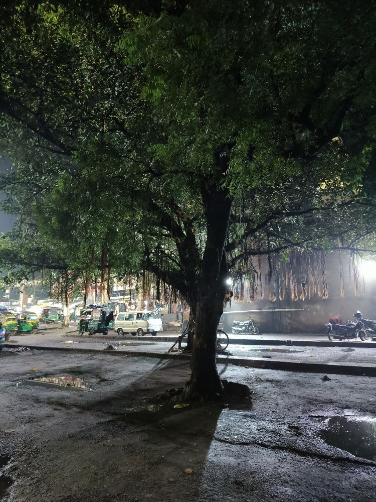 Beauty at Night