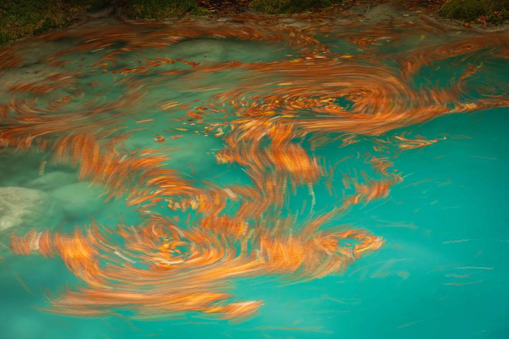 The colours of the autumn