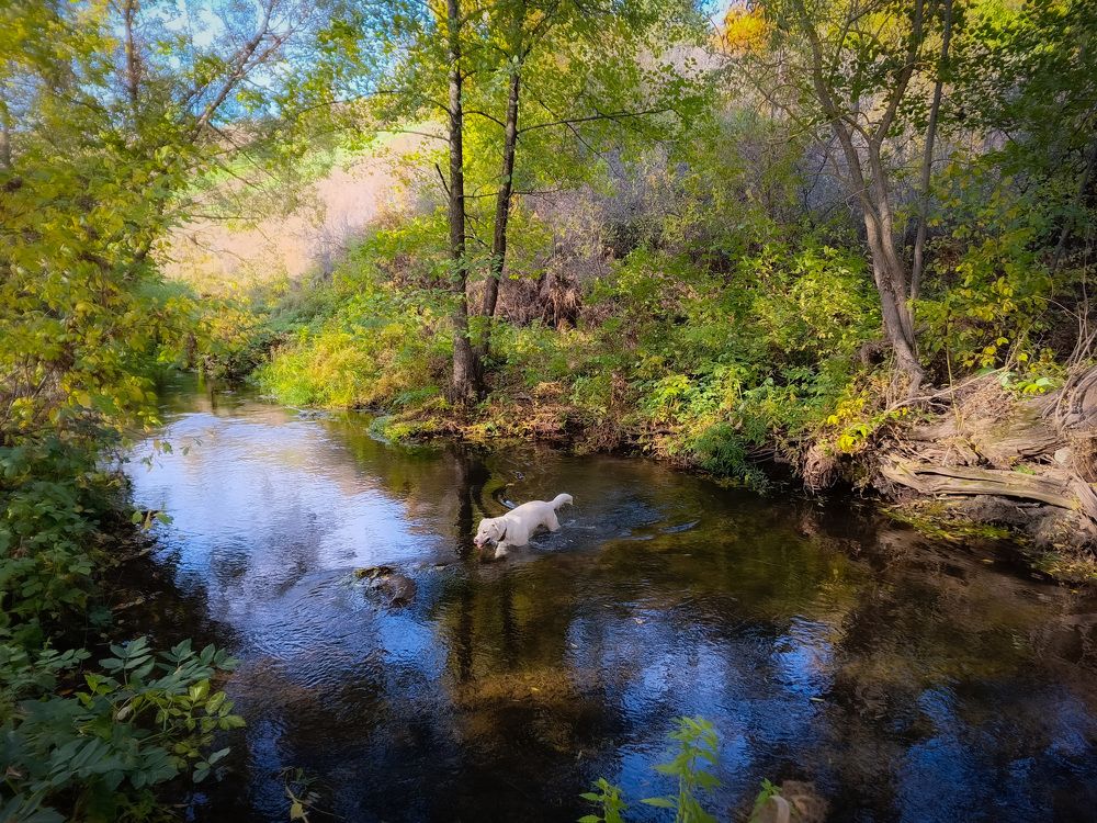 Photograph by Кондрашова Светлана