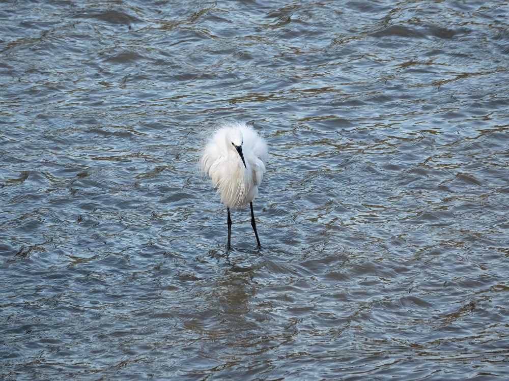 Photograph by Genadi Yakovlev