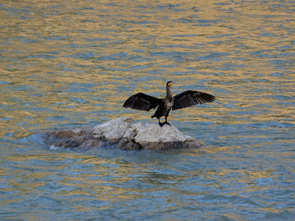 Photograph by Genadi Yakovlev