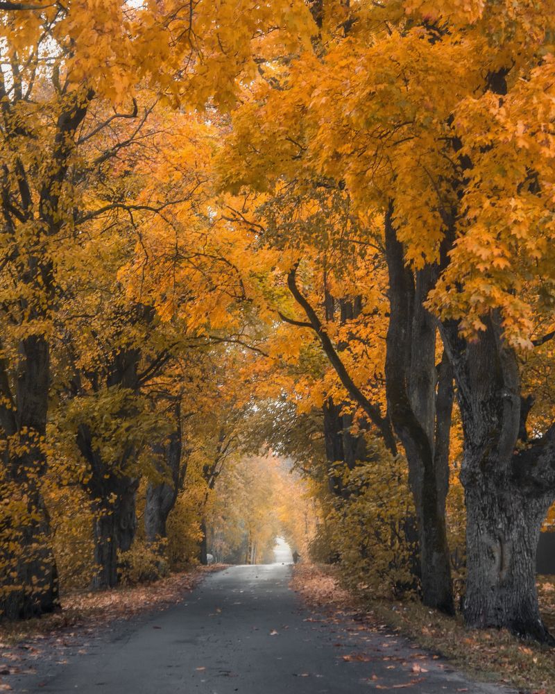 Photograph by Tatsiana Sialiuk