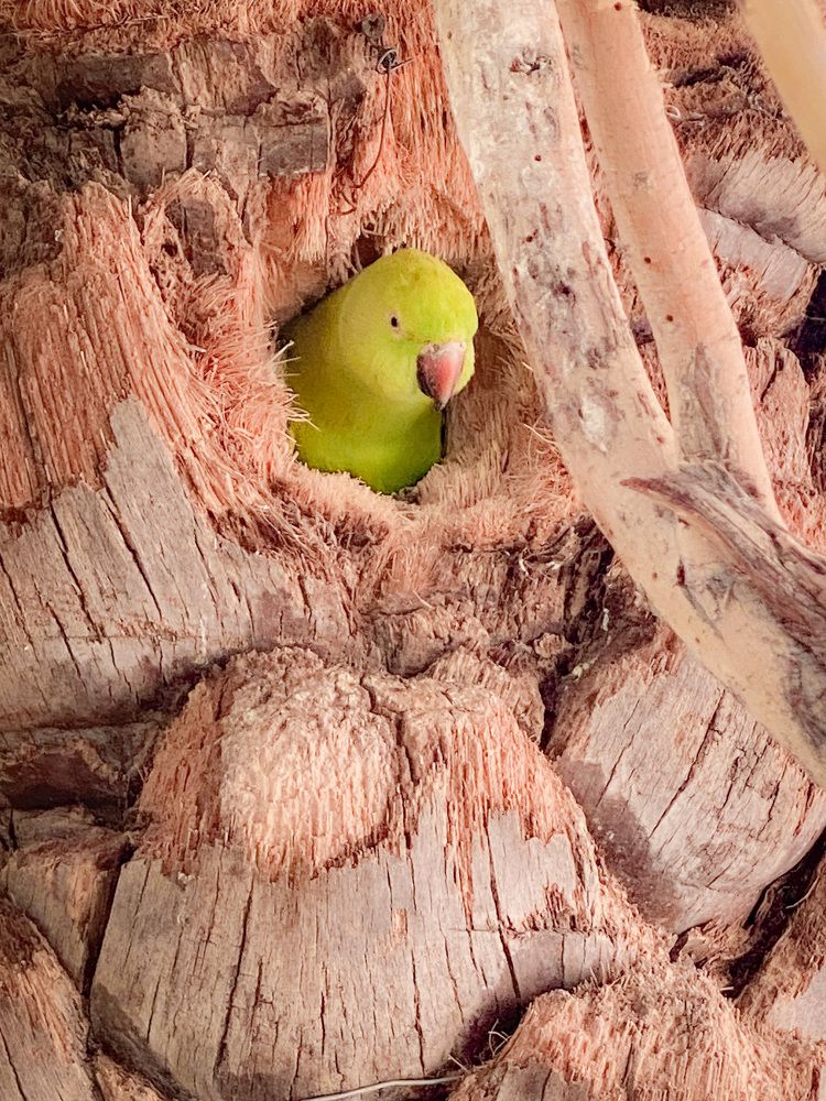 Photograph by Waleed Yousuf Alwahaibi