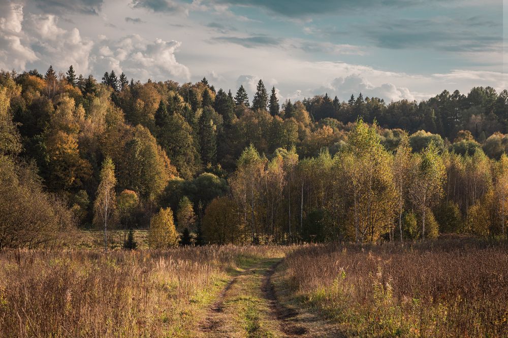 Photograph by Роман