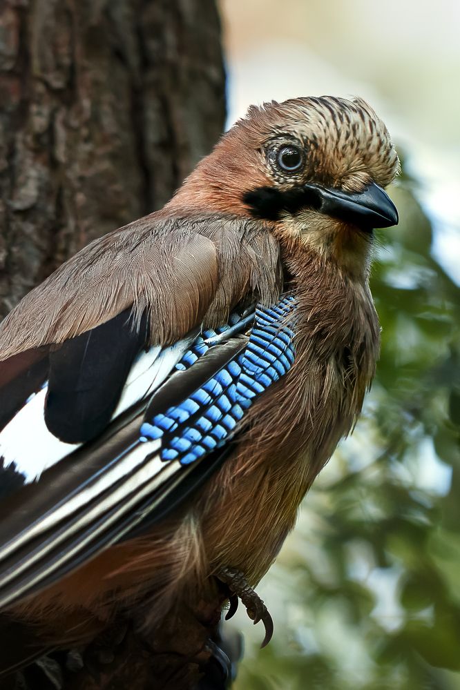 Photograph by Анна Татаренко