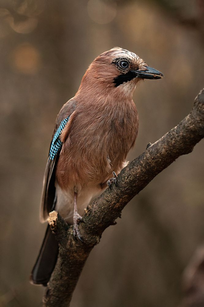 Photograph by Анна Татаренко