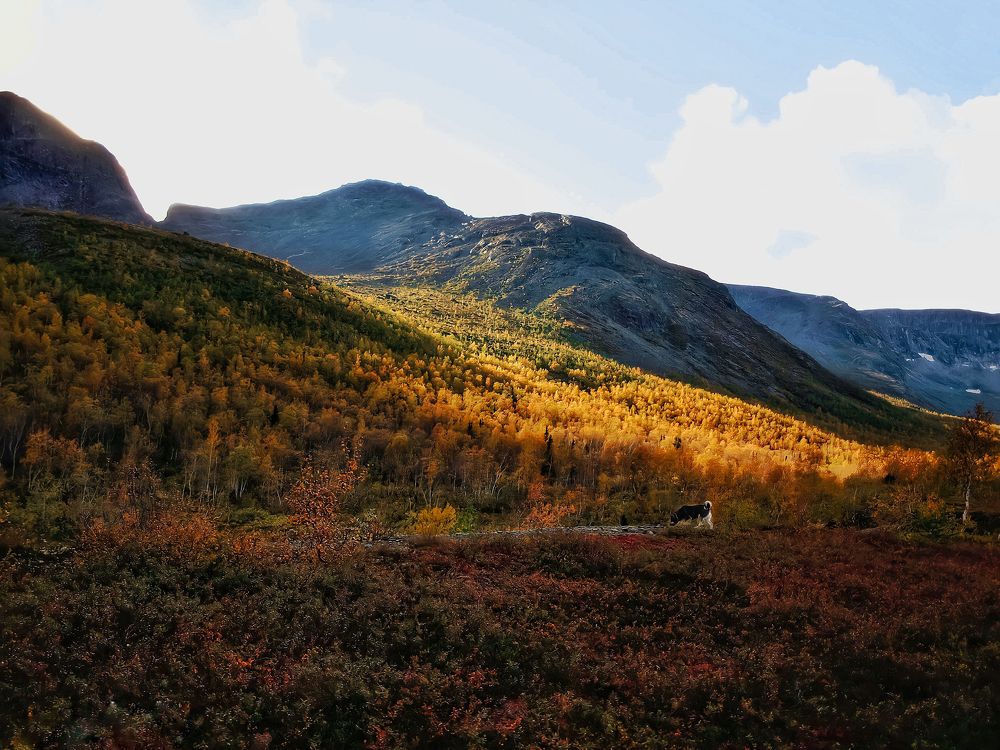 Фотография автора Ольга Маклакова