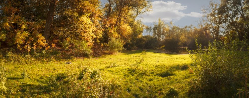 Фотография автора Евгений