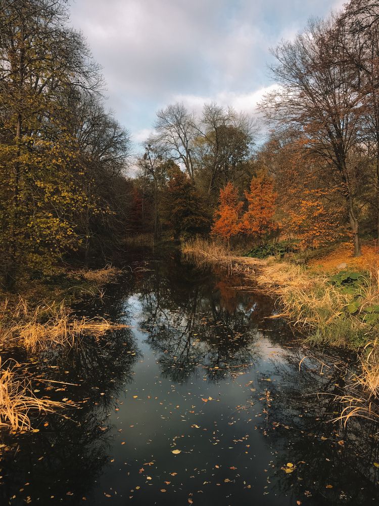 Photograph by Олена Уманцева