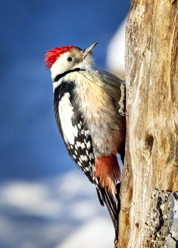 Photograph by Алексей Окунеев