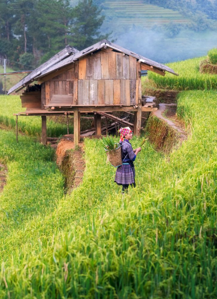 Photograph by Эрнест Вахеди