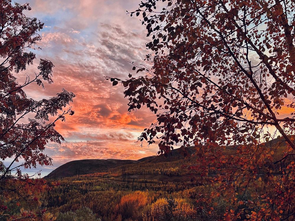 Photograph by Елизавета