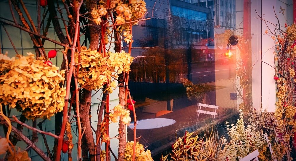 Photograph by Mishel Photographer