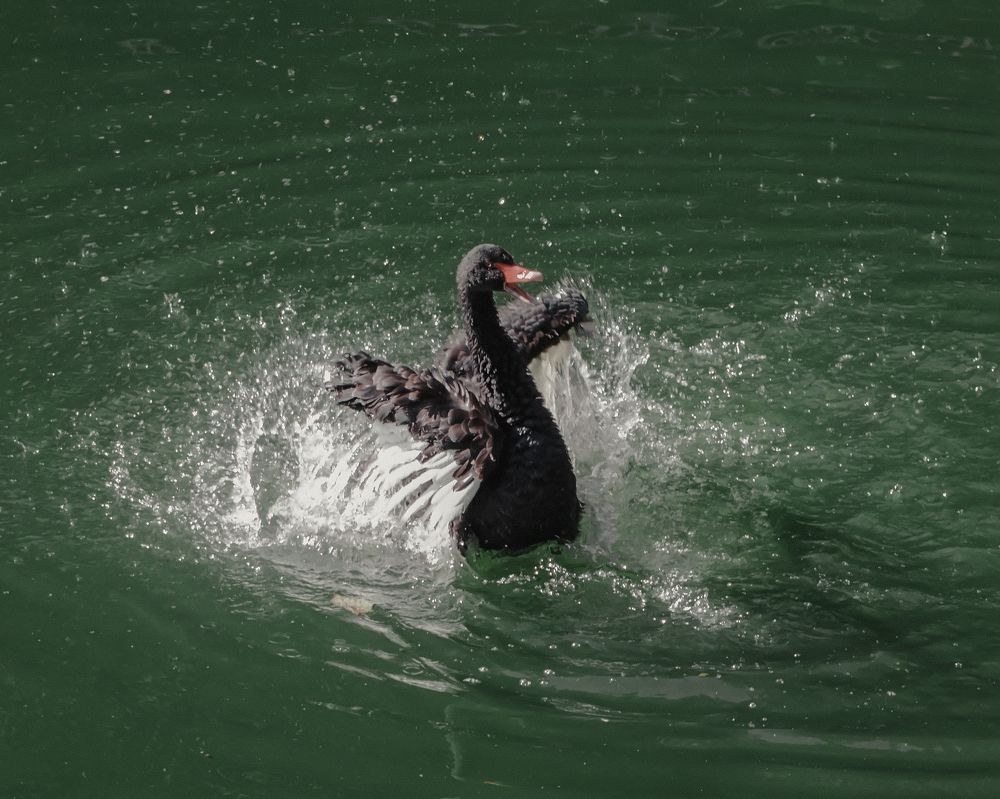 Photograph by Tatsiana Sialiuk