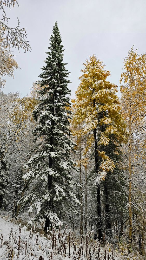 Photograph by Александр