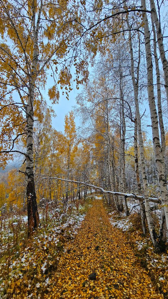 Photograph by Александр