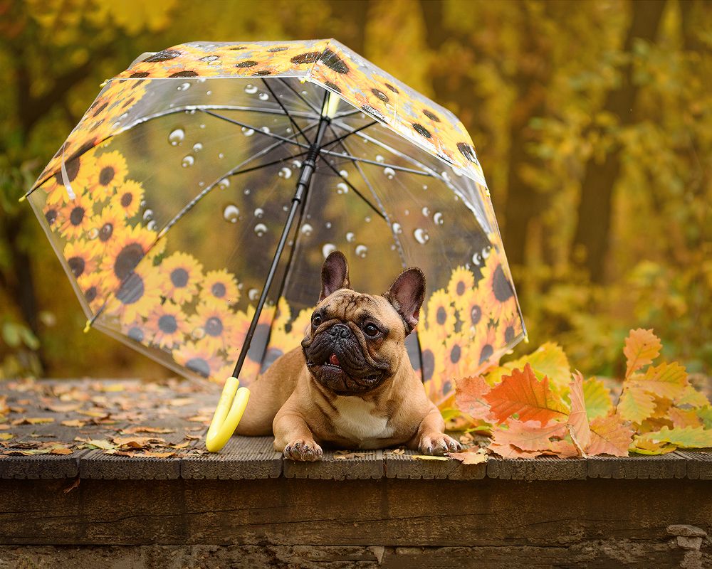 Photograph by Виктория Сафонова