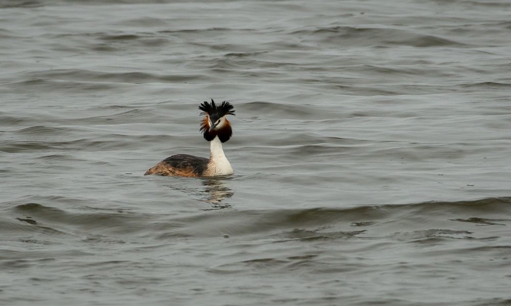 Photograph by Олег Волков