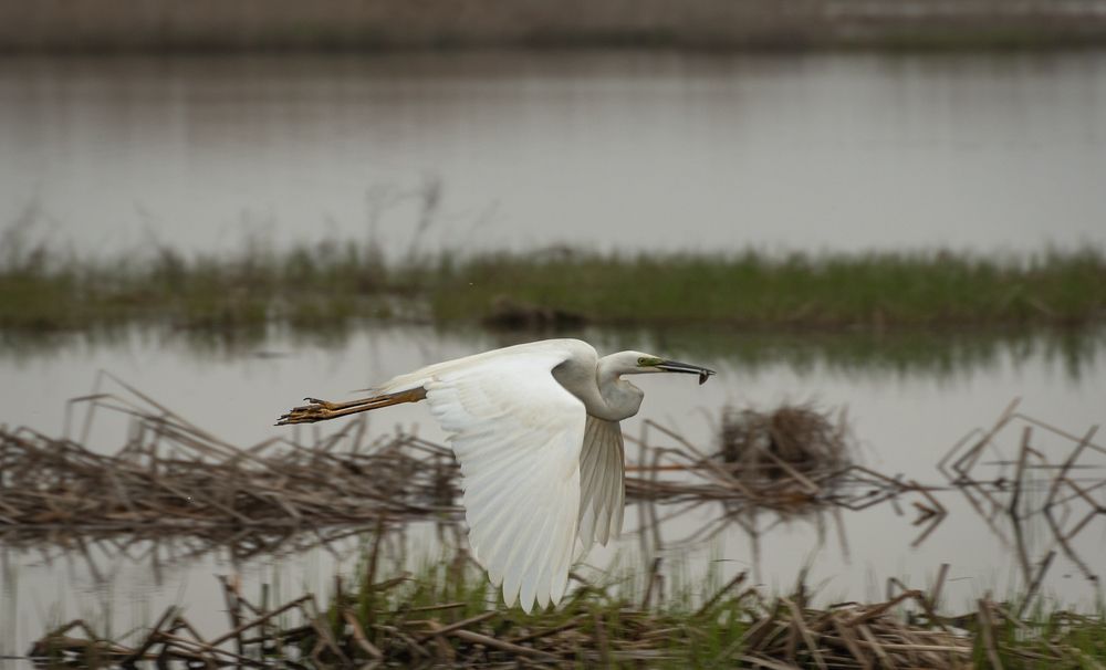 Photograph by Олег Волков