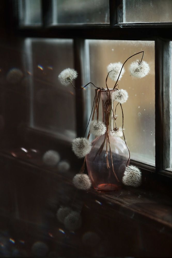 В вечерние часы