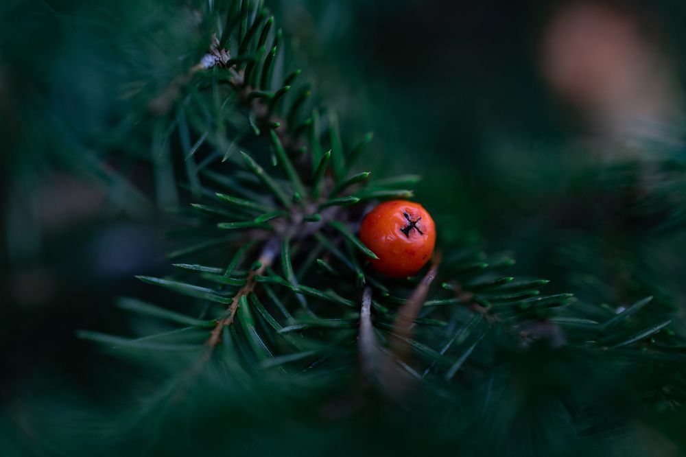 Photograph by Артем Капустин