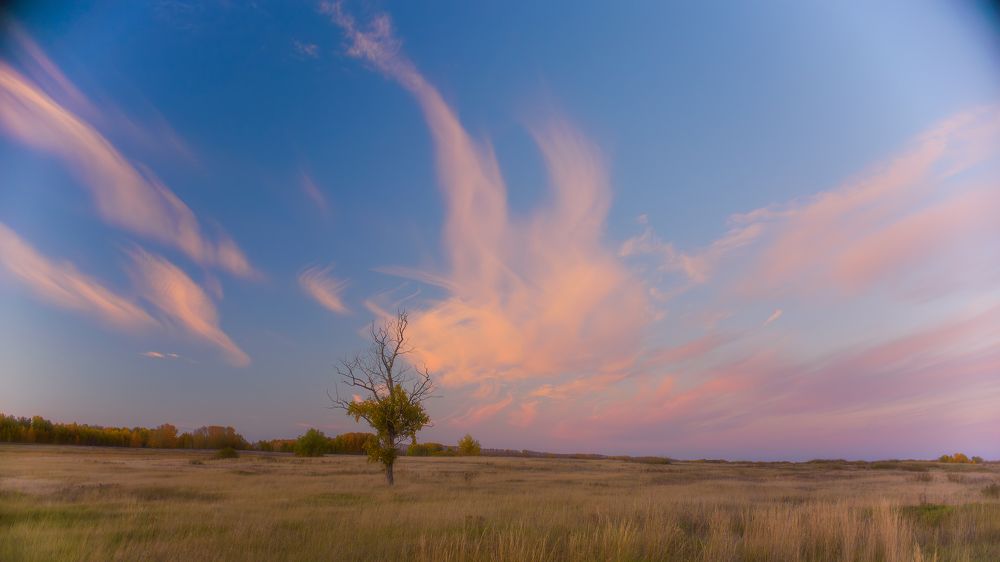 Photograph by Михаил Соколов