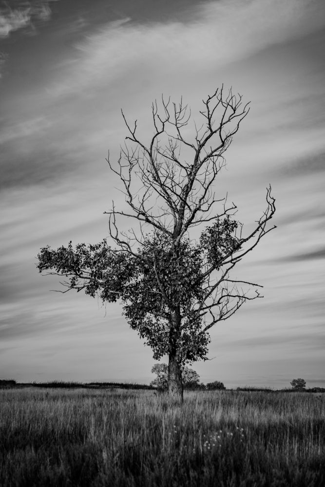 Photograph by Михаил Соколов