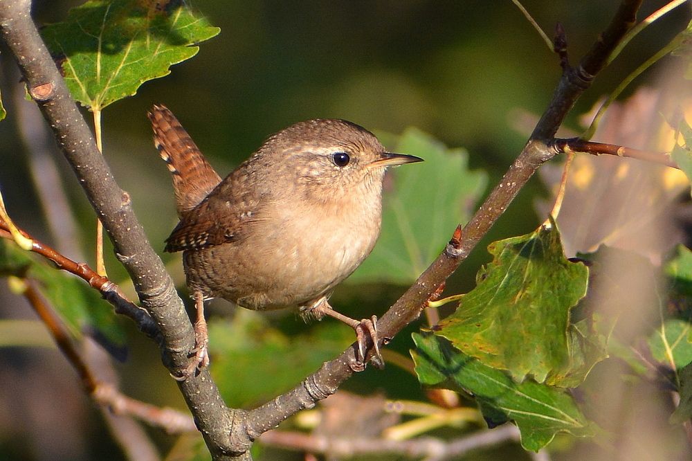 Photograph by Владислав Иопек