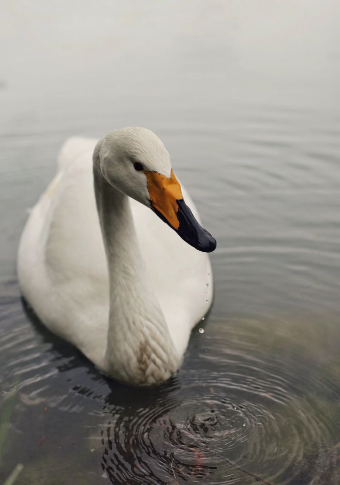 Photograph by Людмила Евстратова