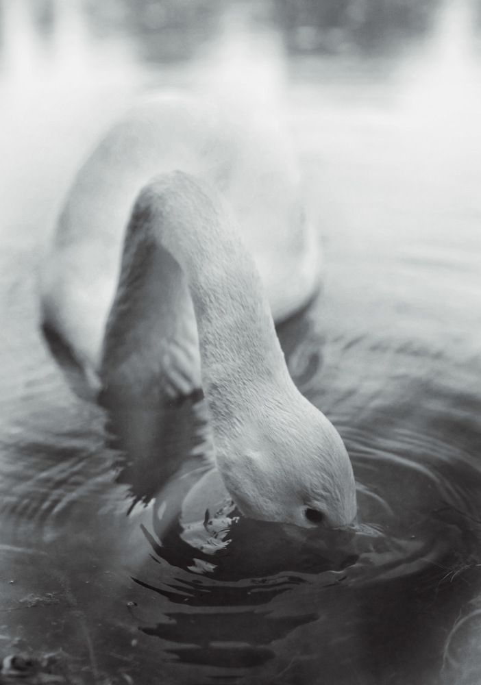 Photograph by Людмила Евстратова