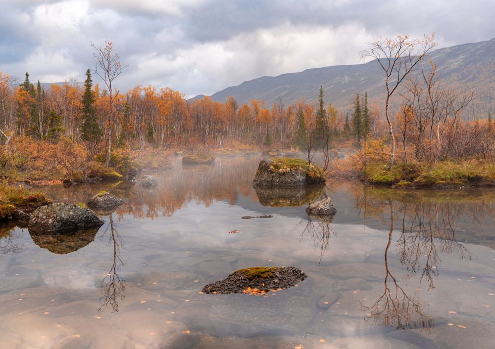 Photograph by Дмитрий Геращенко