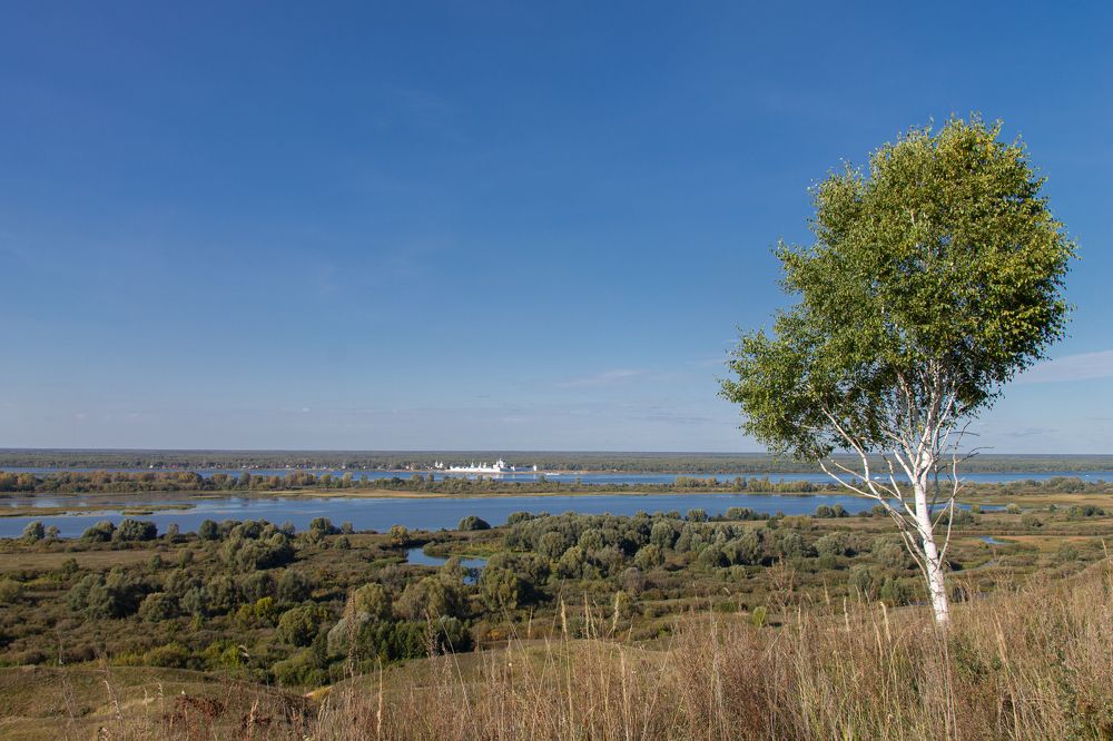 Photograph by Дарья Улюсова