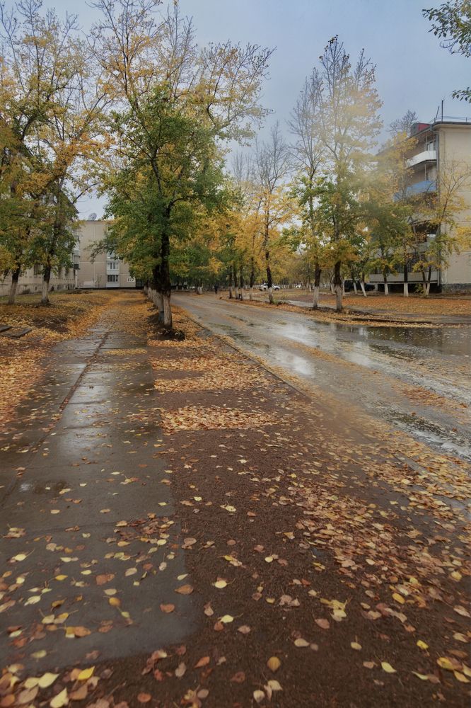 Photograph by Елена Заммоева