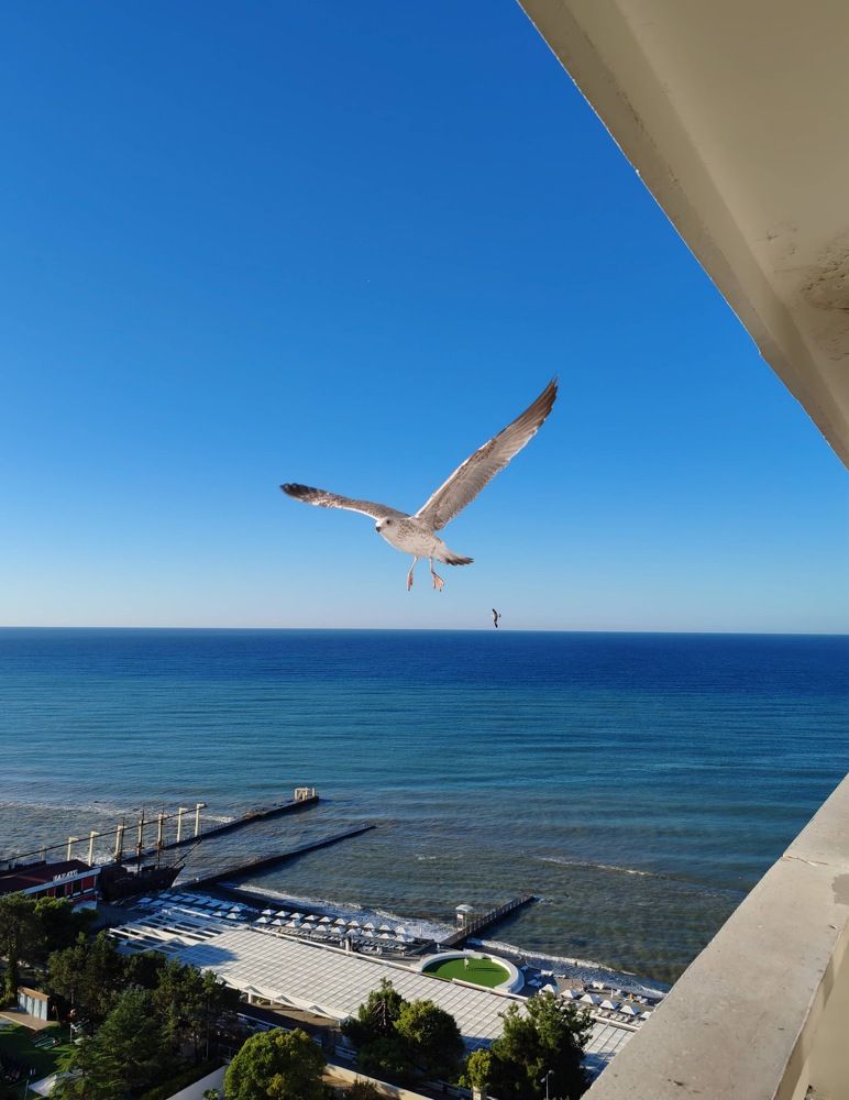 Photograph by Наталья Круглова