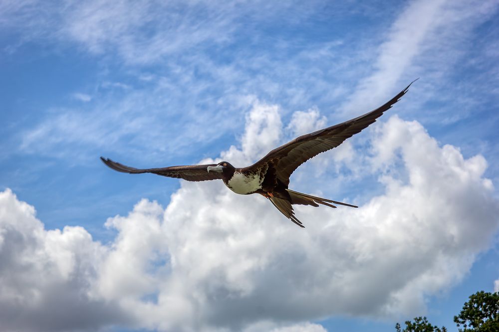 Photograph by Юрий Левко