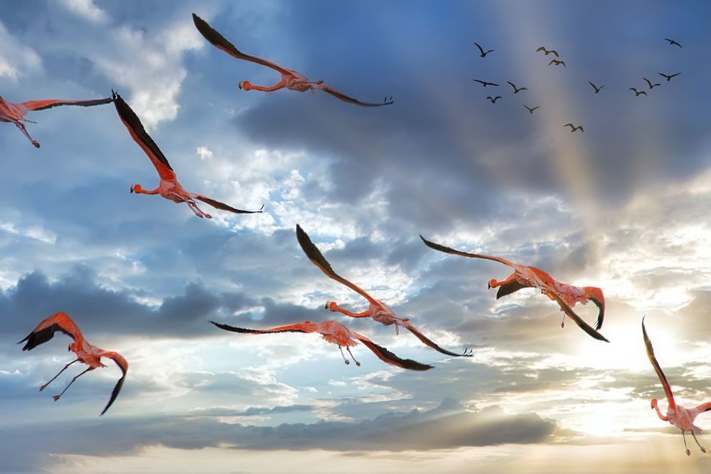 Photograph by Юрий Левко