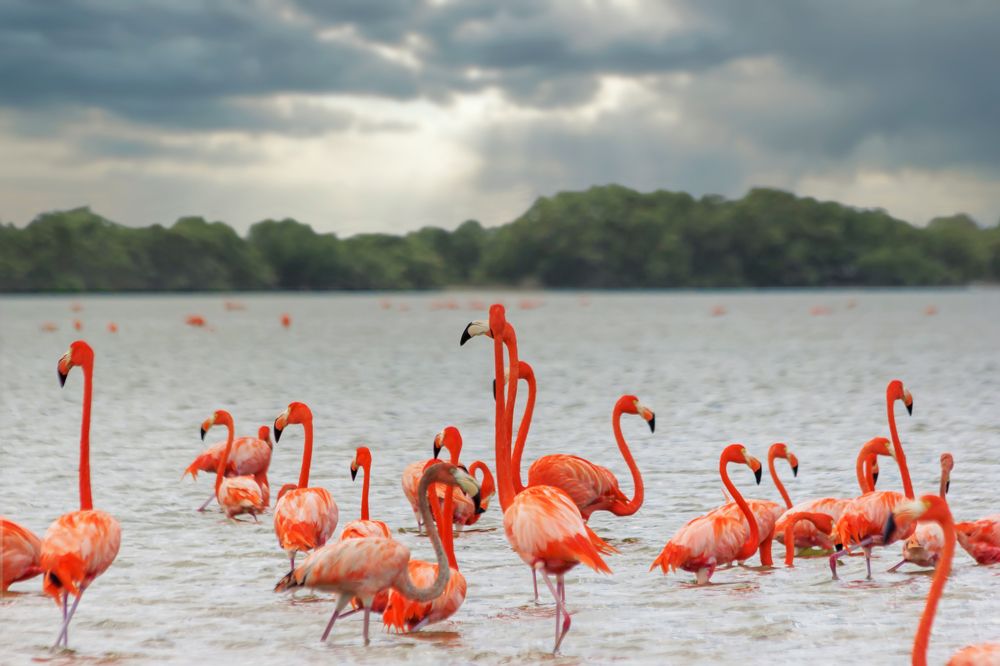 Photograph by Юрий Левко