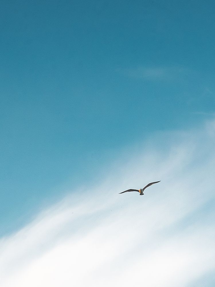 Photograph by Дмитрий Хорошилов